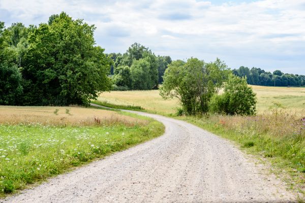 Cost of Stone Driveway Repair in Annapolis