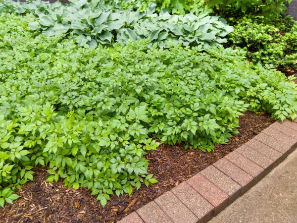 Cost of Brick Hardscaping in Annapolis